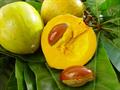 yellow sapote ، eggfruit ، Chesa